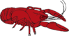 Red Crayfish Clip Art